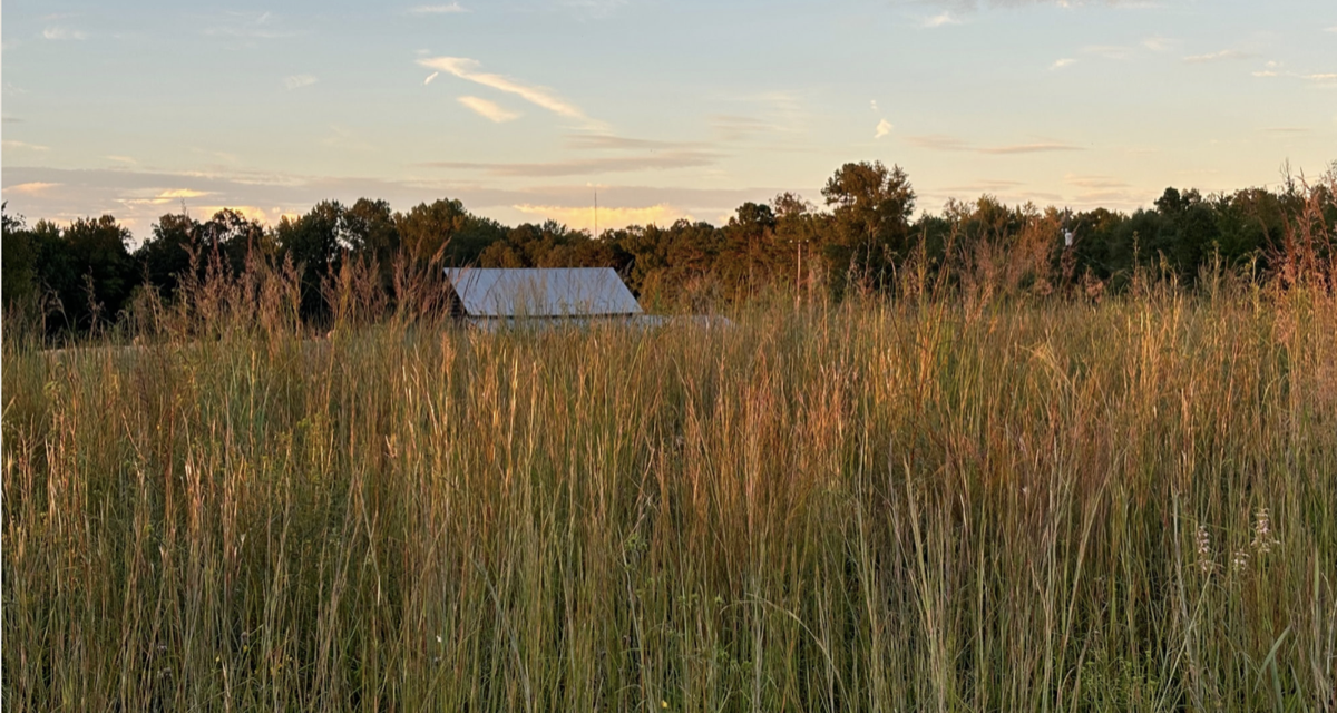 Bluestem Conservation Cemetery, a peaceful nature preserve and Elizabeth's final resting place